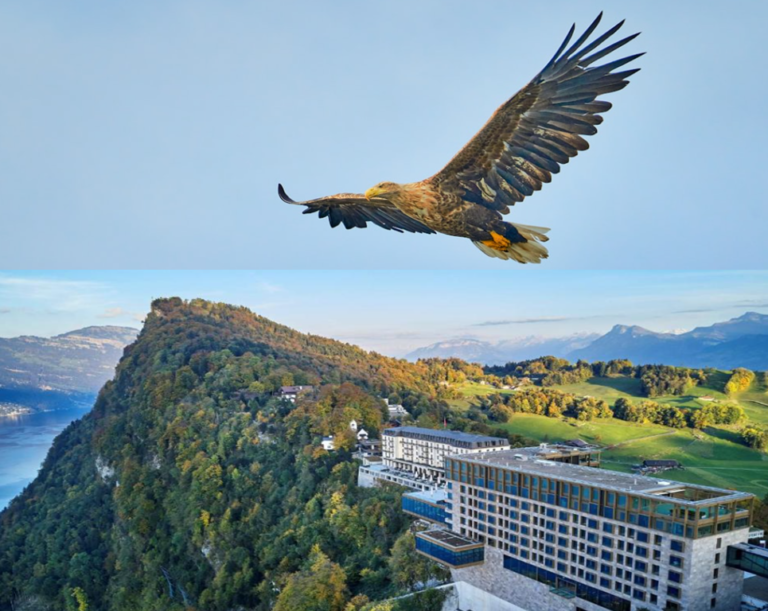 Të njihemi me Bürgenstock, që njihet si foleja e shqiponjave në zemër të Zvicrës që ka pritur personalitete botërore qe një shekull (10 foto) Të njihemi me Bürgenstock, që njihet si foleja e shqiponjave në zemër të Zvicrës që ka pritur personalitete botërore qe një shekull (10 foto)