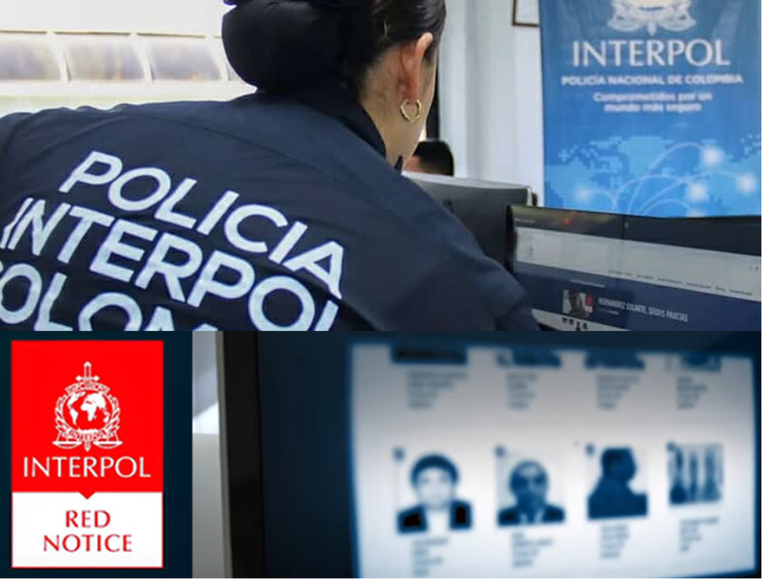 InterpolAlSerb