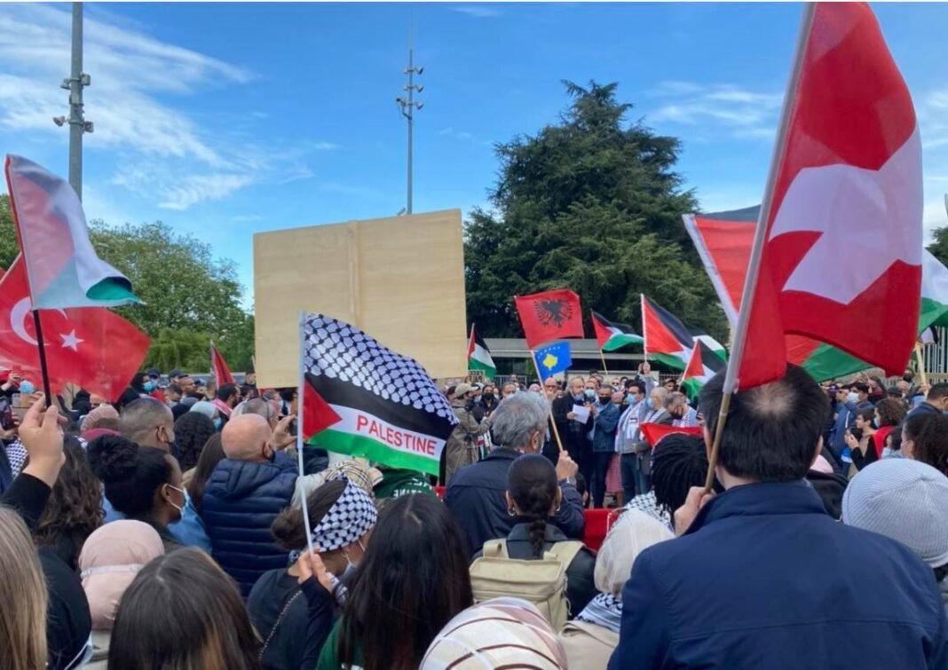 palestttgff
